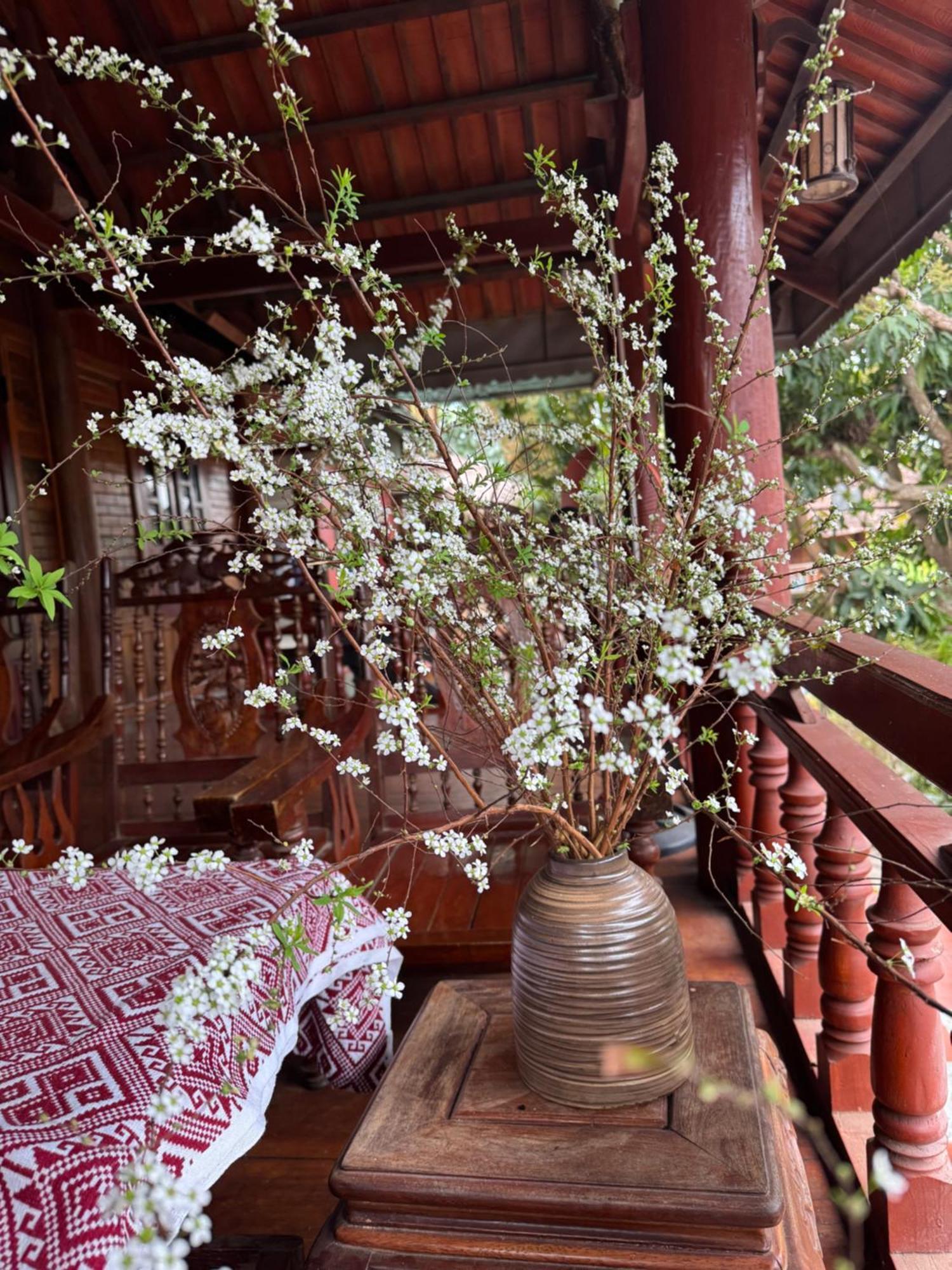 Minh Ngoc Homestay Dien Bien Phu Ban Him Lom Exterior photo